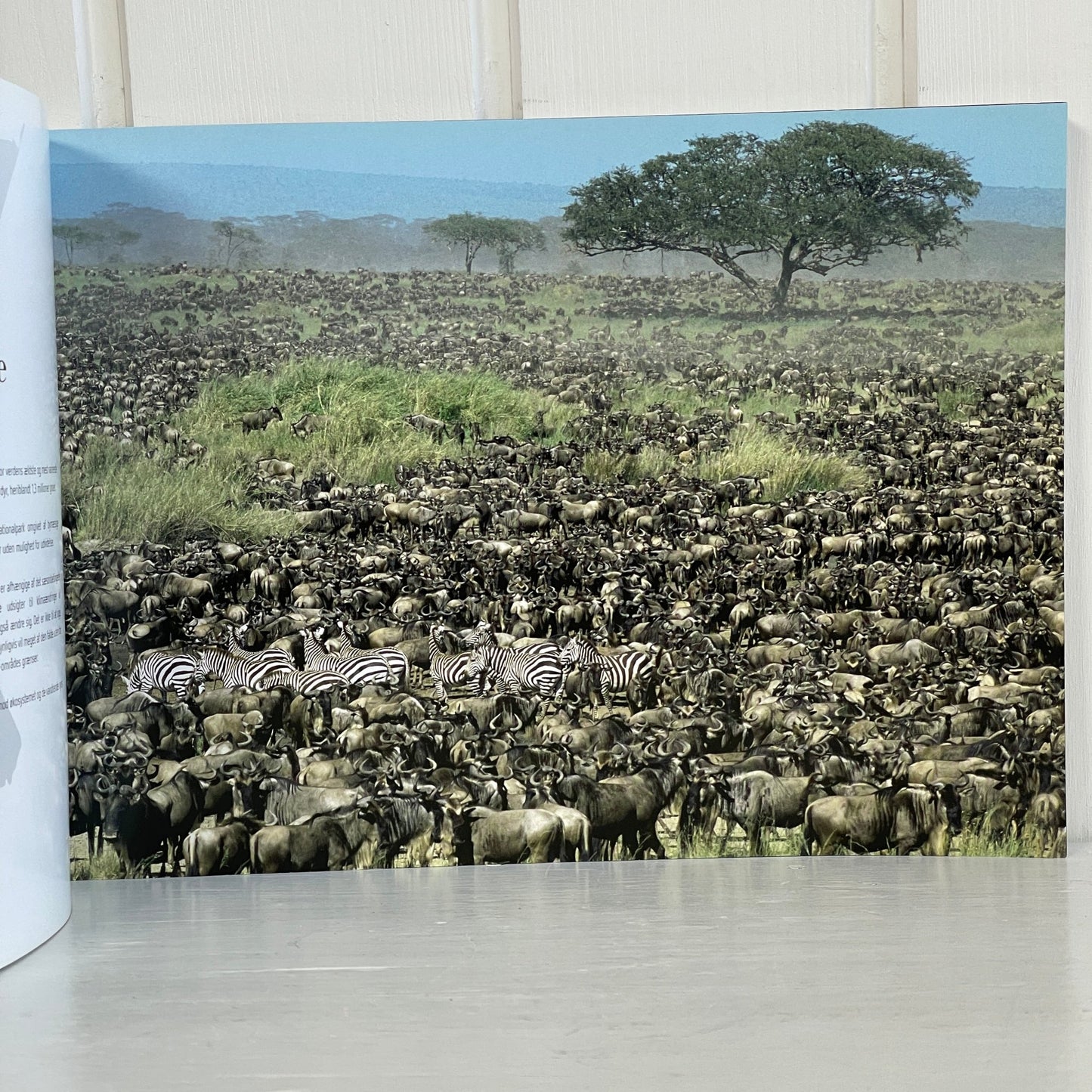 100 Steder at huske før de forsvinder - Mission Afrika Genbrug