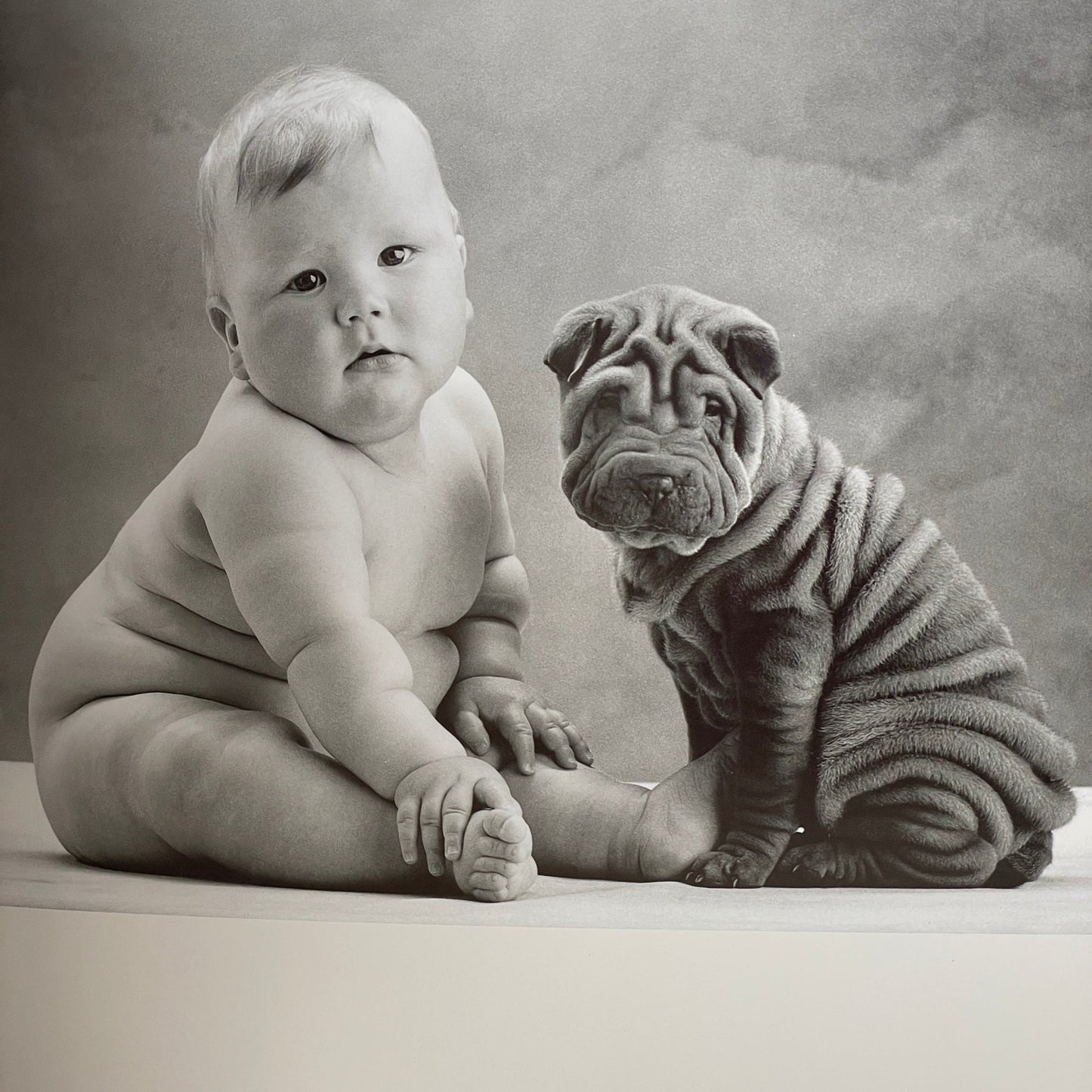 Anne Geddes Until Now - Mission Afrika Genbrug