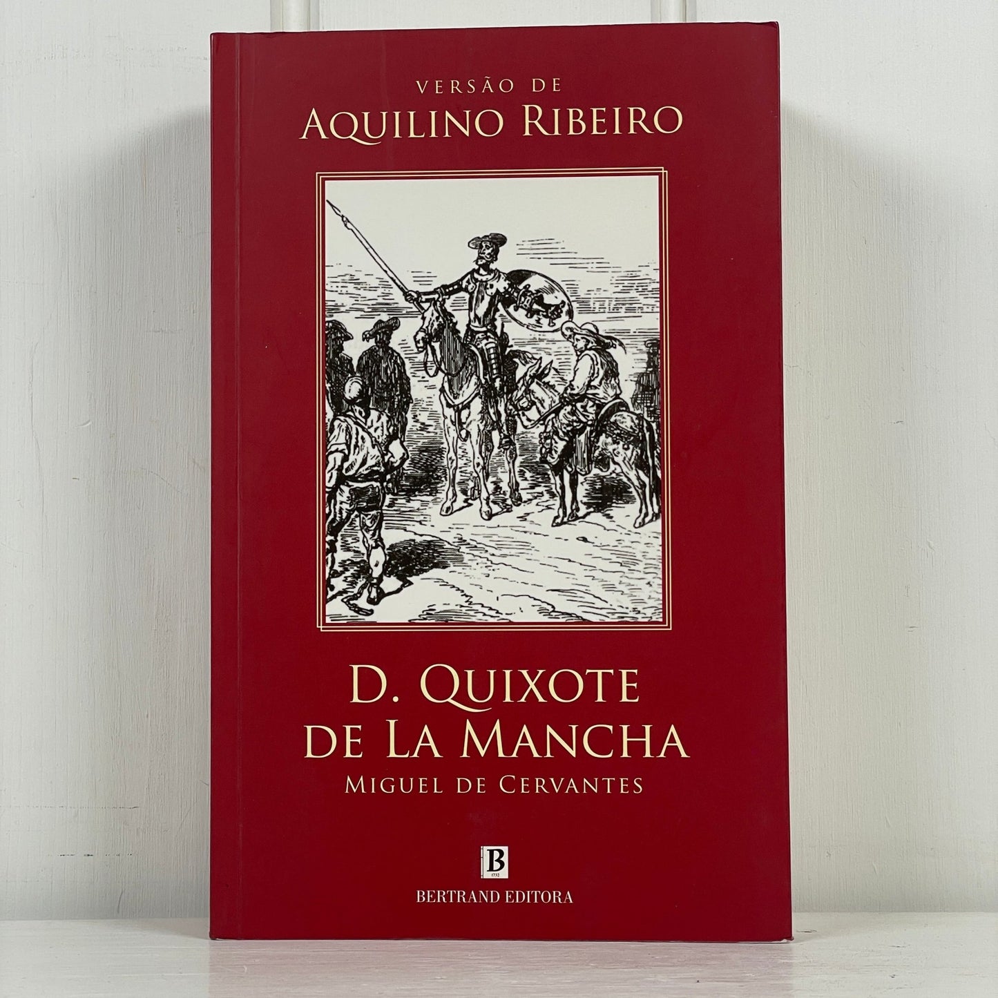 D. Quixote de la mancha - Mission Afrika Genbrug
