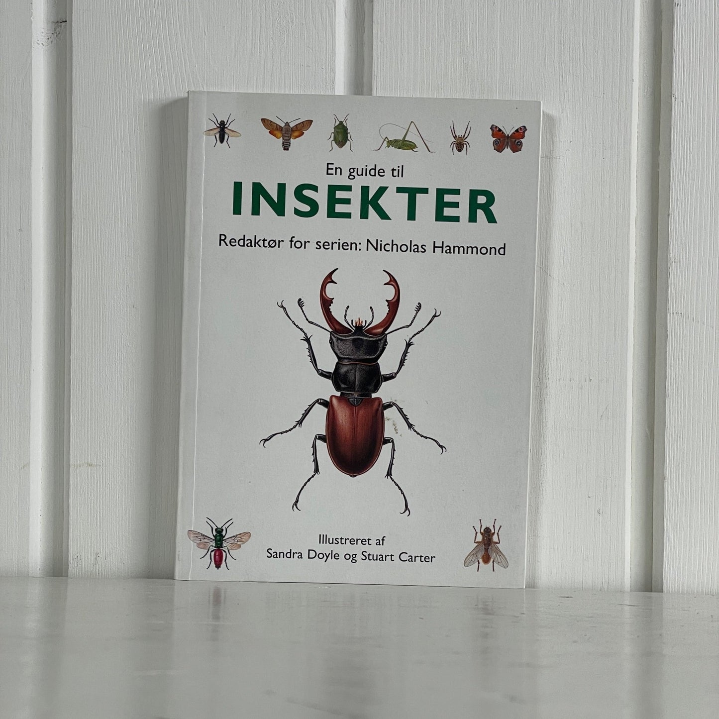 En guide til insekter - Mission Afrika Genbrug