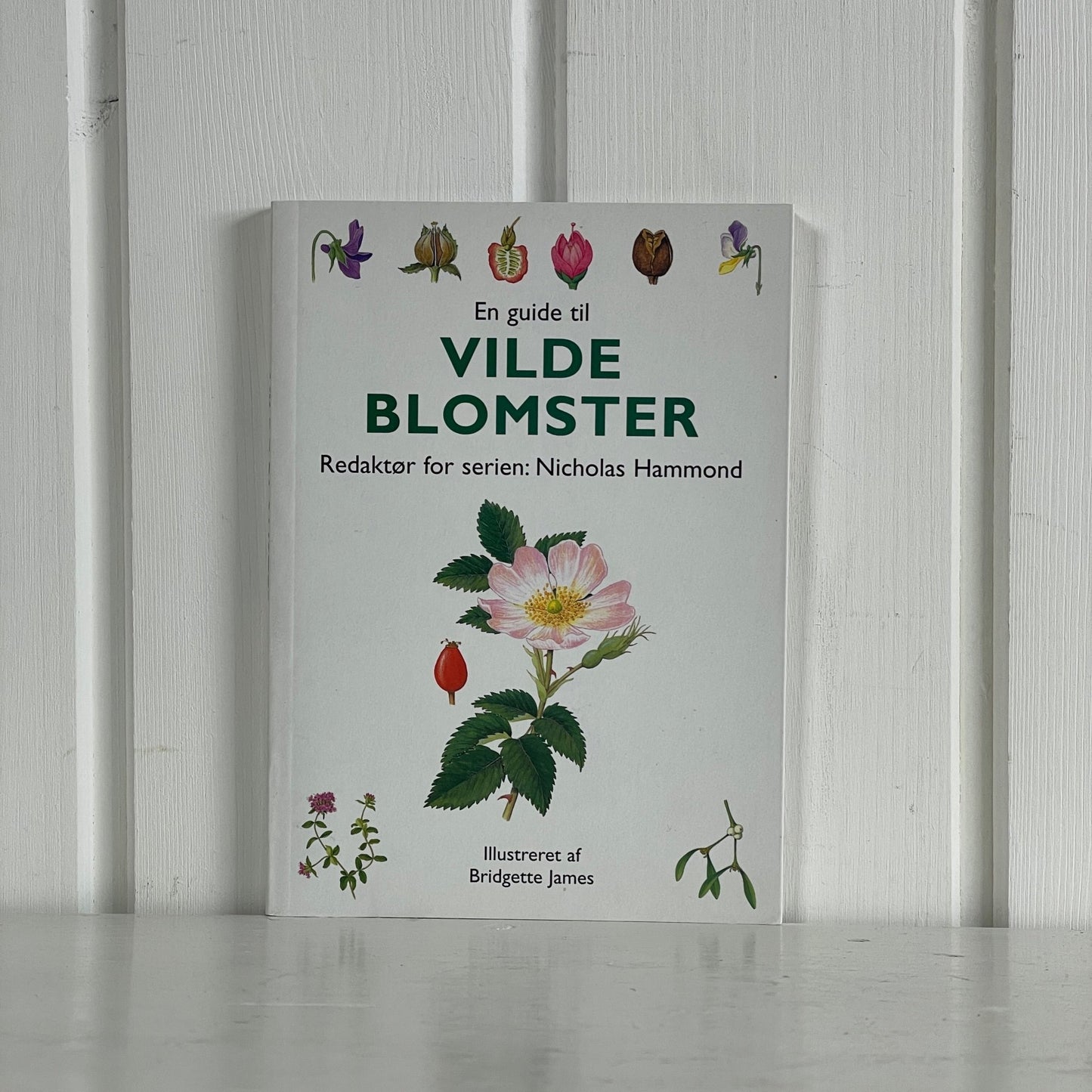 En guide til vilde blomster - Mission Afrika Genbrug