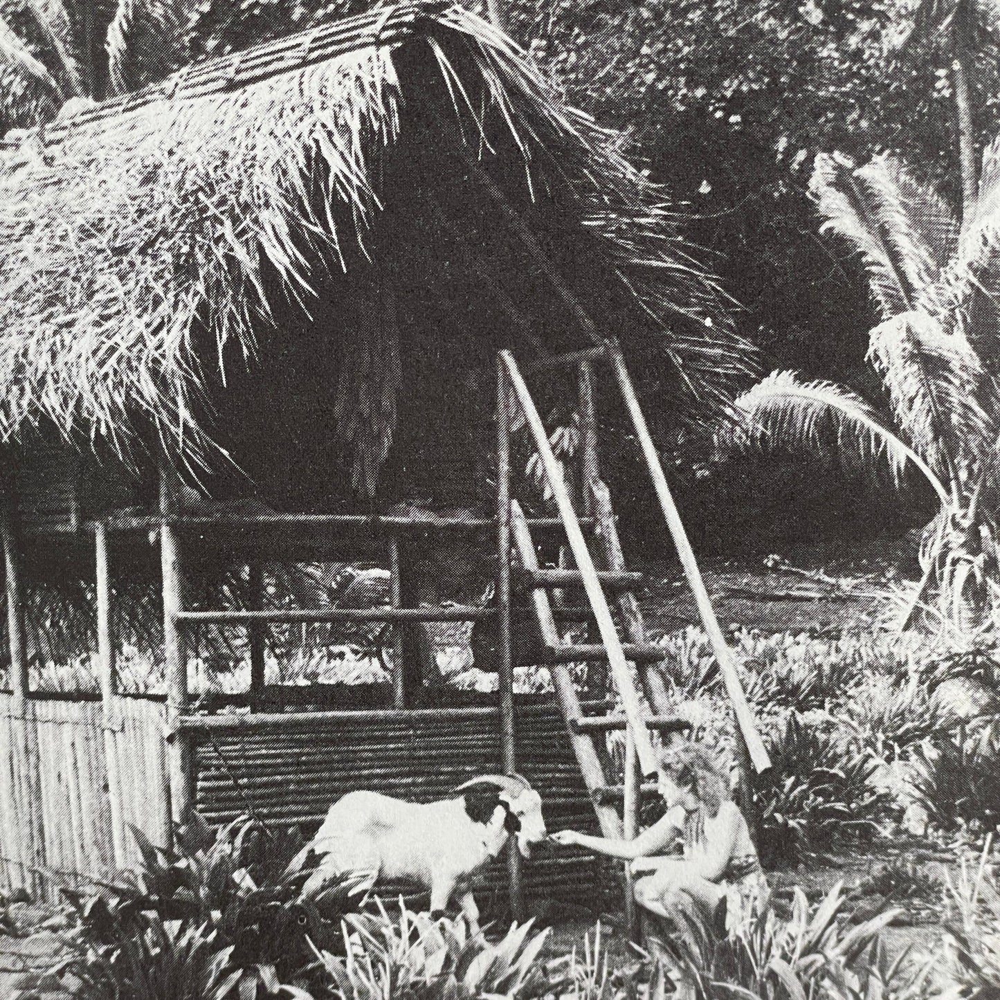 Fatuhiva - Tilbage til naturen - Mission Afrika Genbrug