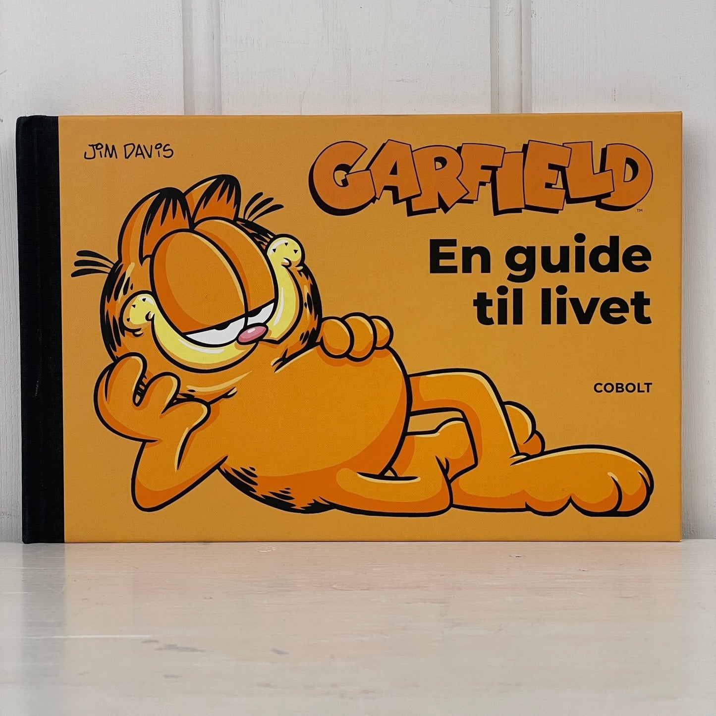 Garfield: En guide til livet - Mission Afrika Genbrug