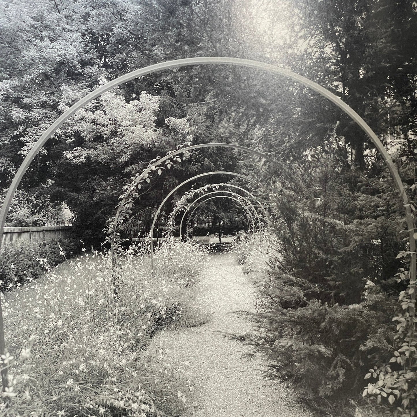 Gärten - Gardens - Mission Afrika Genbrug