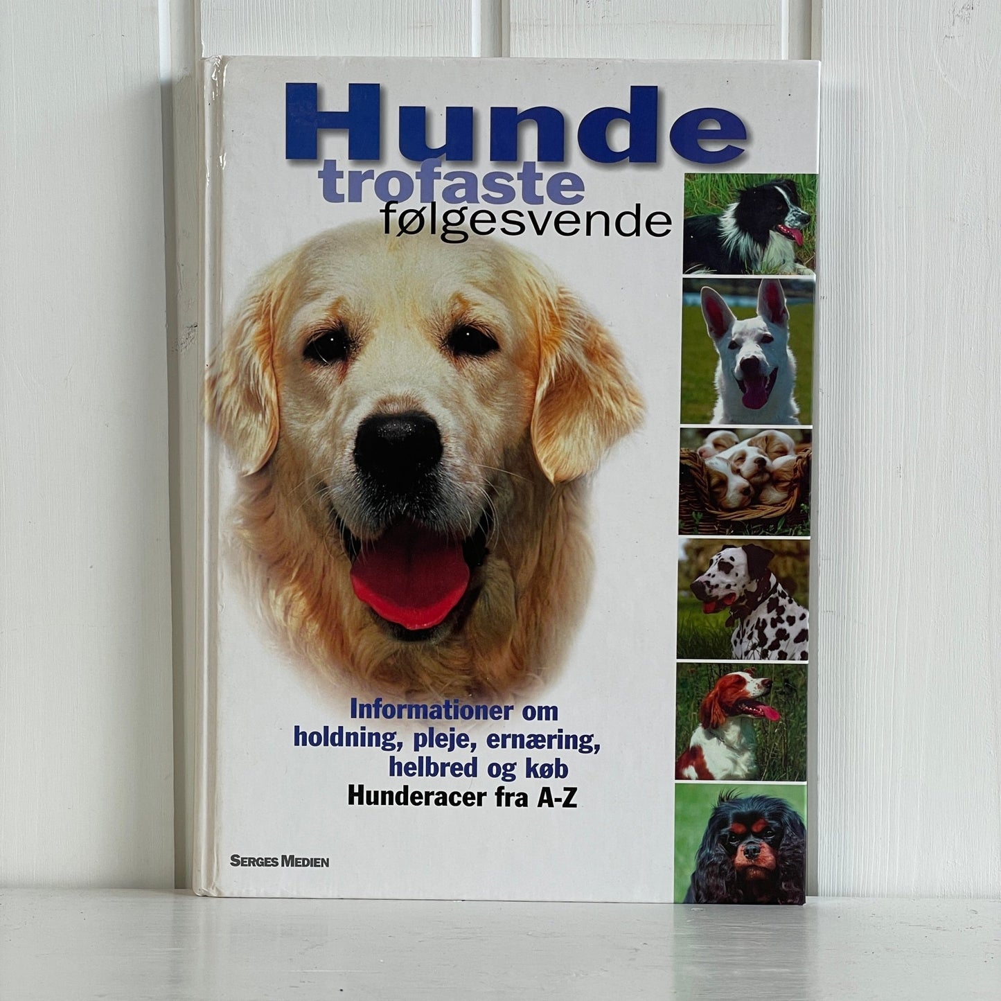 Hunde - trofaste følgesvende - Mission Afrika Genbrug