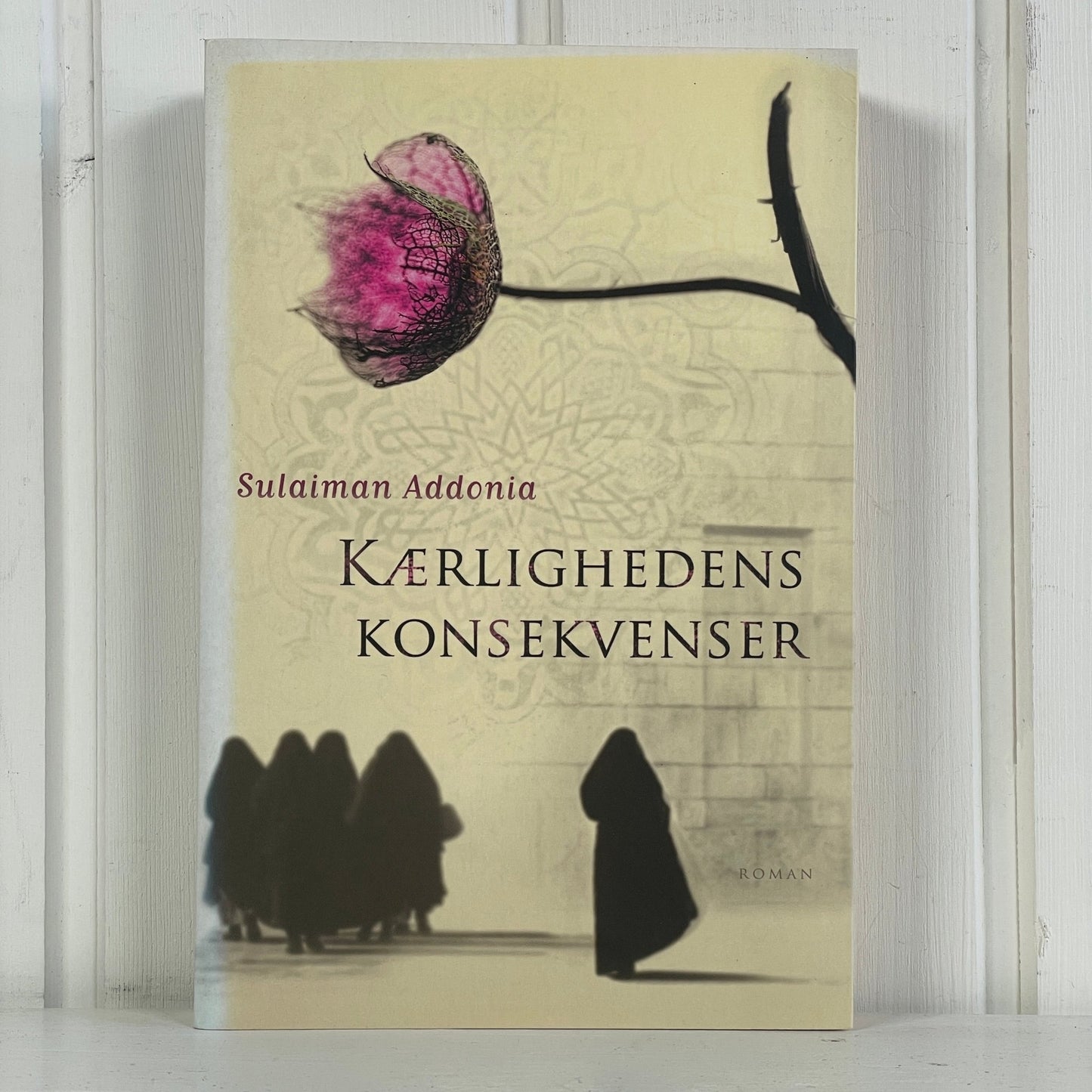 Kærlighedens konsekvenser - Mission Afrika Genbrug