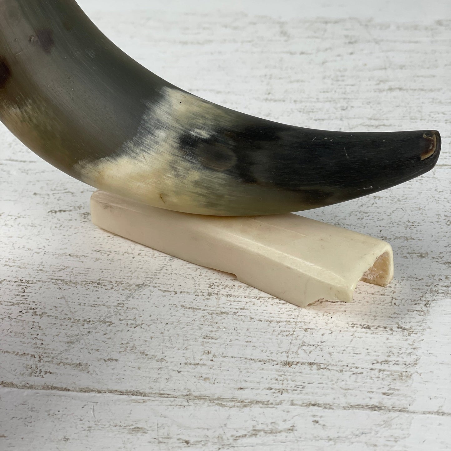 Kohorn på opsats - Mission Afrika Genbrug