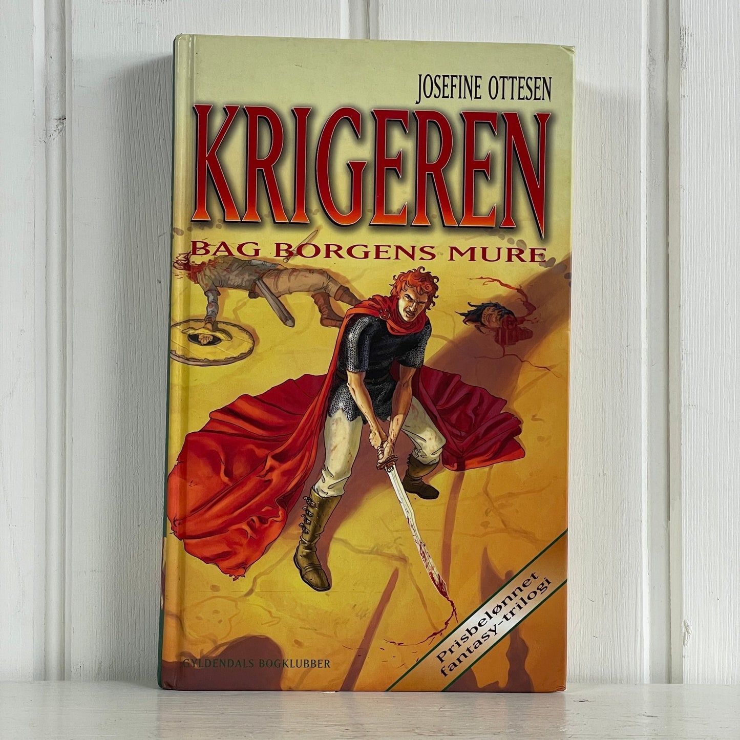 Krigeren 2: Bag borgens mure - Mission Afrika Genbrug