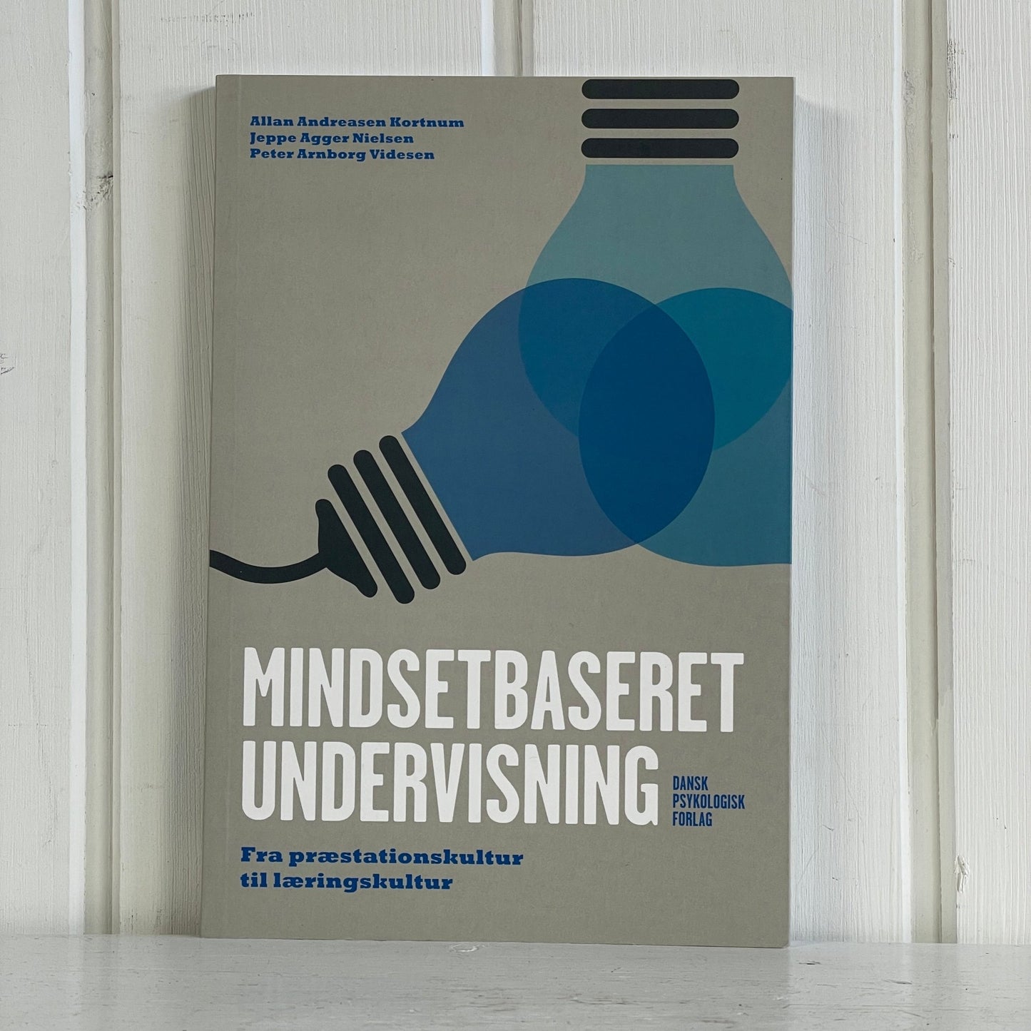 Mindsetbaseret undervisning - Mission Afrika Genbrug