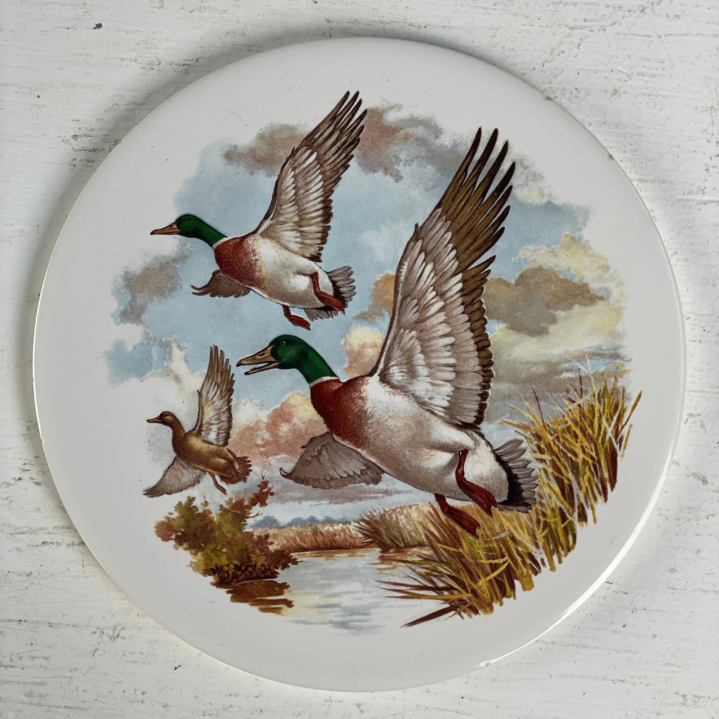 Platter (2 stk sælges samlet) - Mission Afrika Genbrug