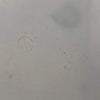 Villeroy & Boch vintage platte
