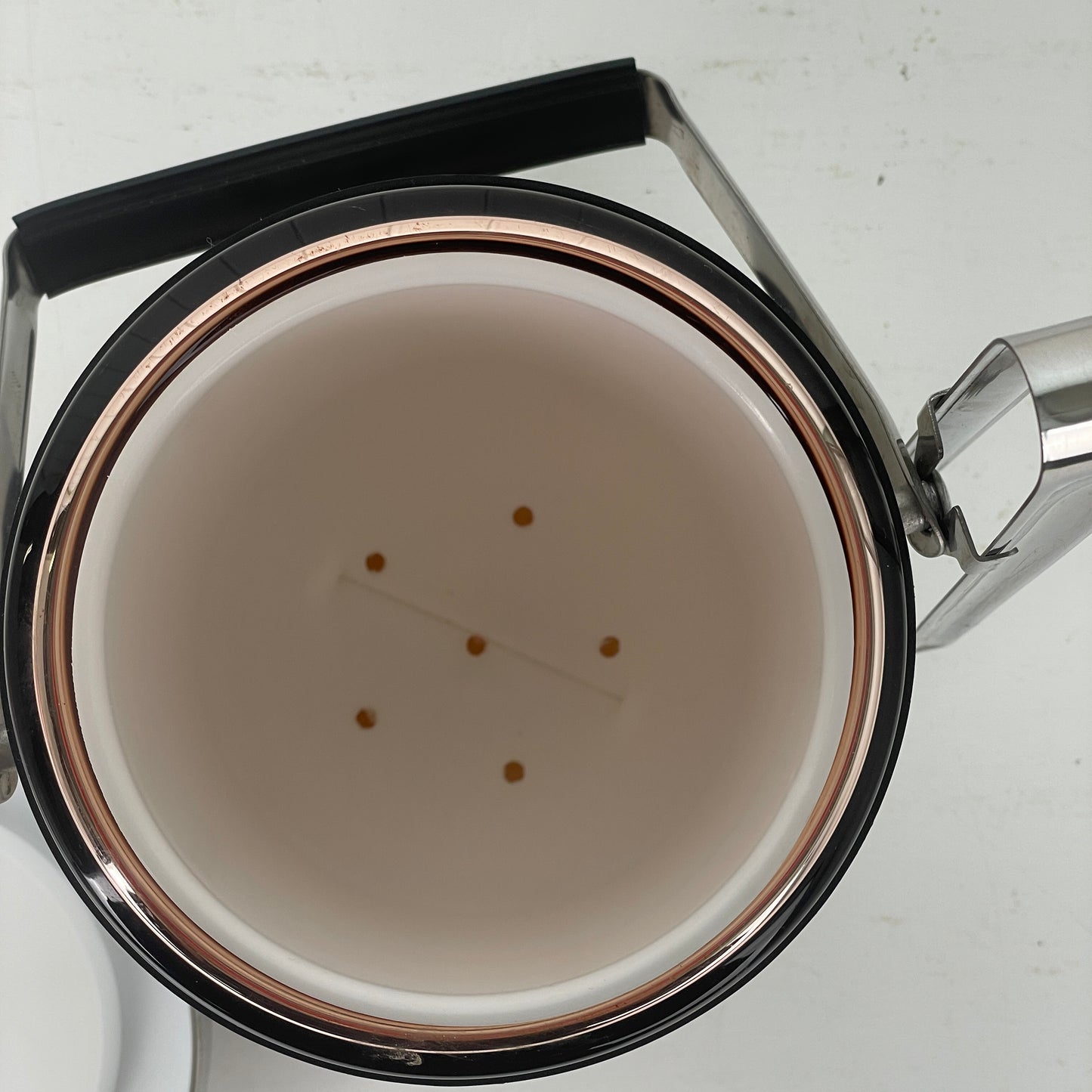 Alfi isspand i rustfrit stål 0,75l