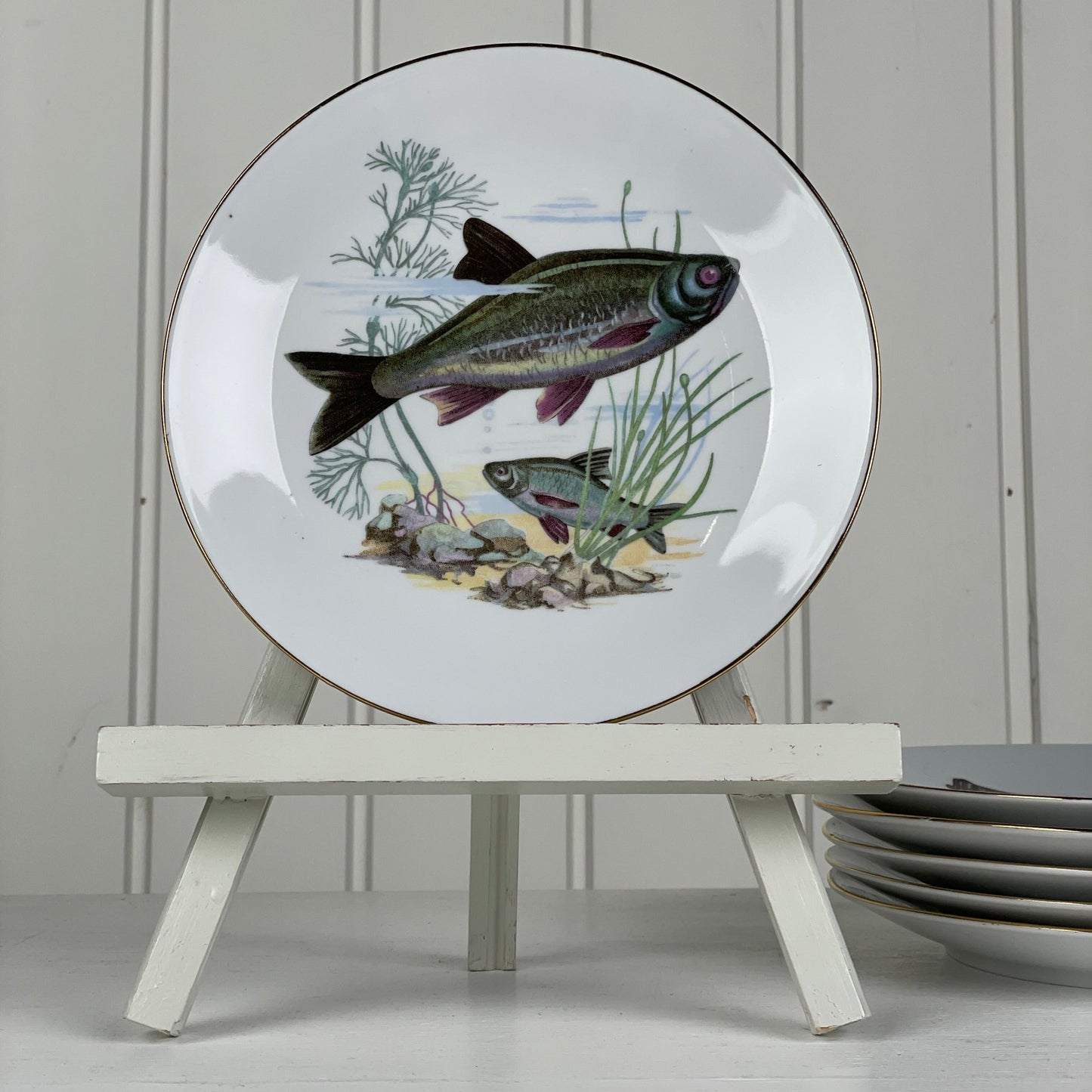 6 stk., Kahla Könitz fisketallerkener - Mission Afrika Genbrug