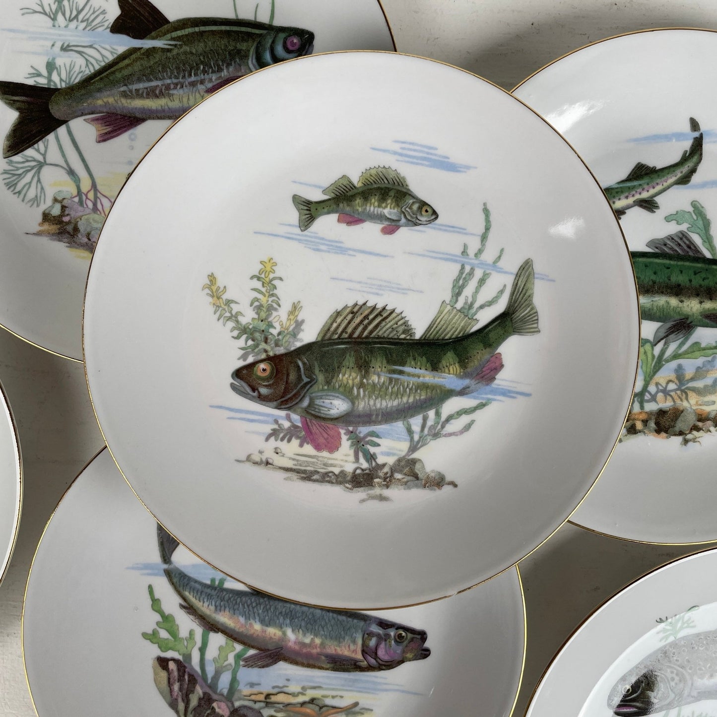 6 stk., Kahla Könitz fisketallerkener - Mission Afrika Genbrug