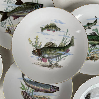 6 stk., Kahla Könitz fisketallerkener