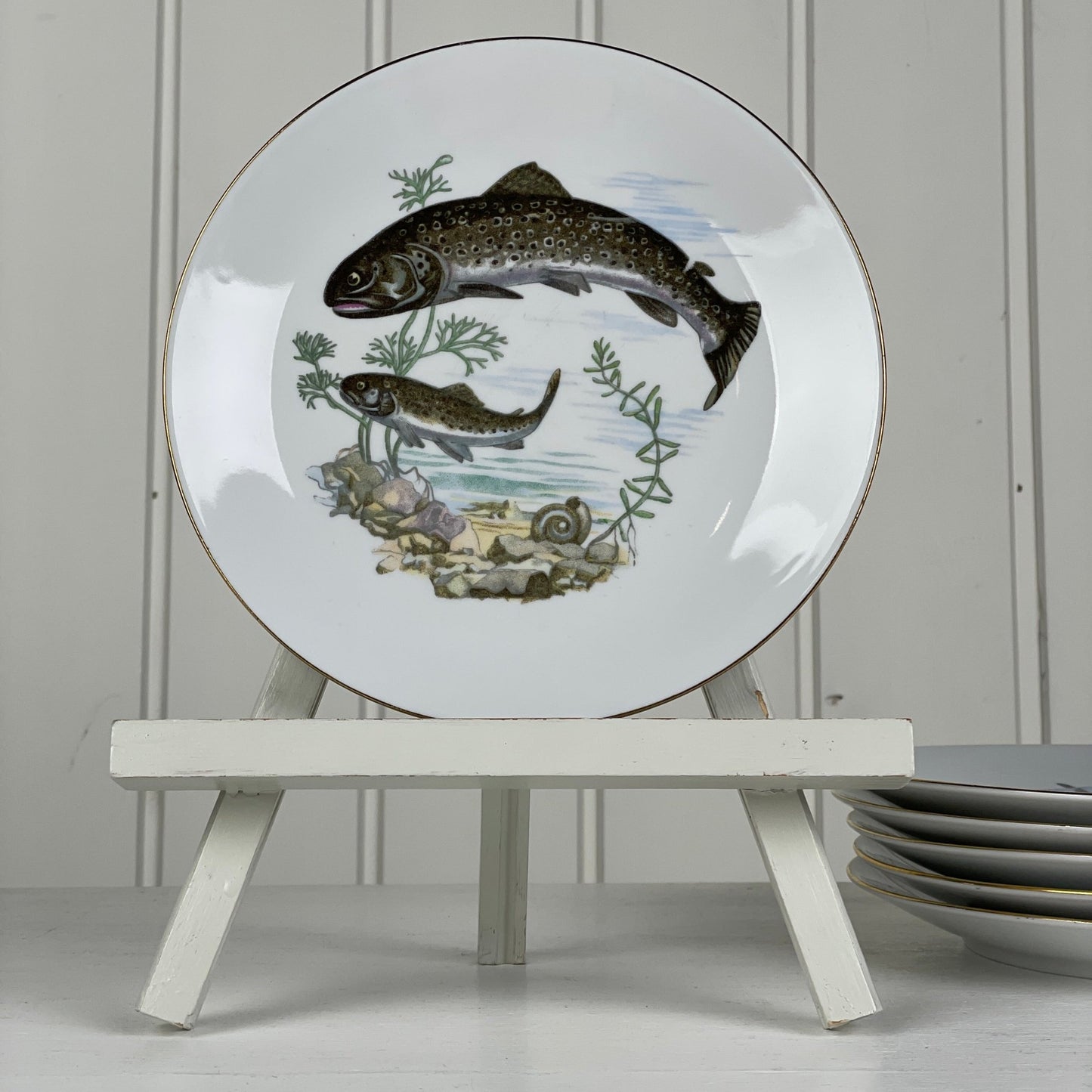 6 stk., Kahla Könitz fisketallerkener - Mission Afrika Genbrug