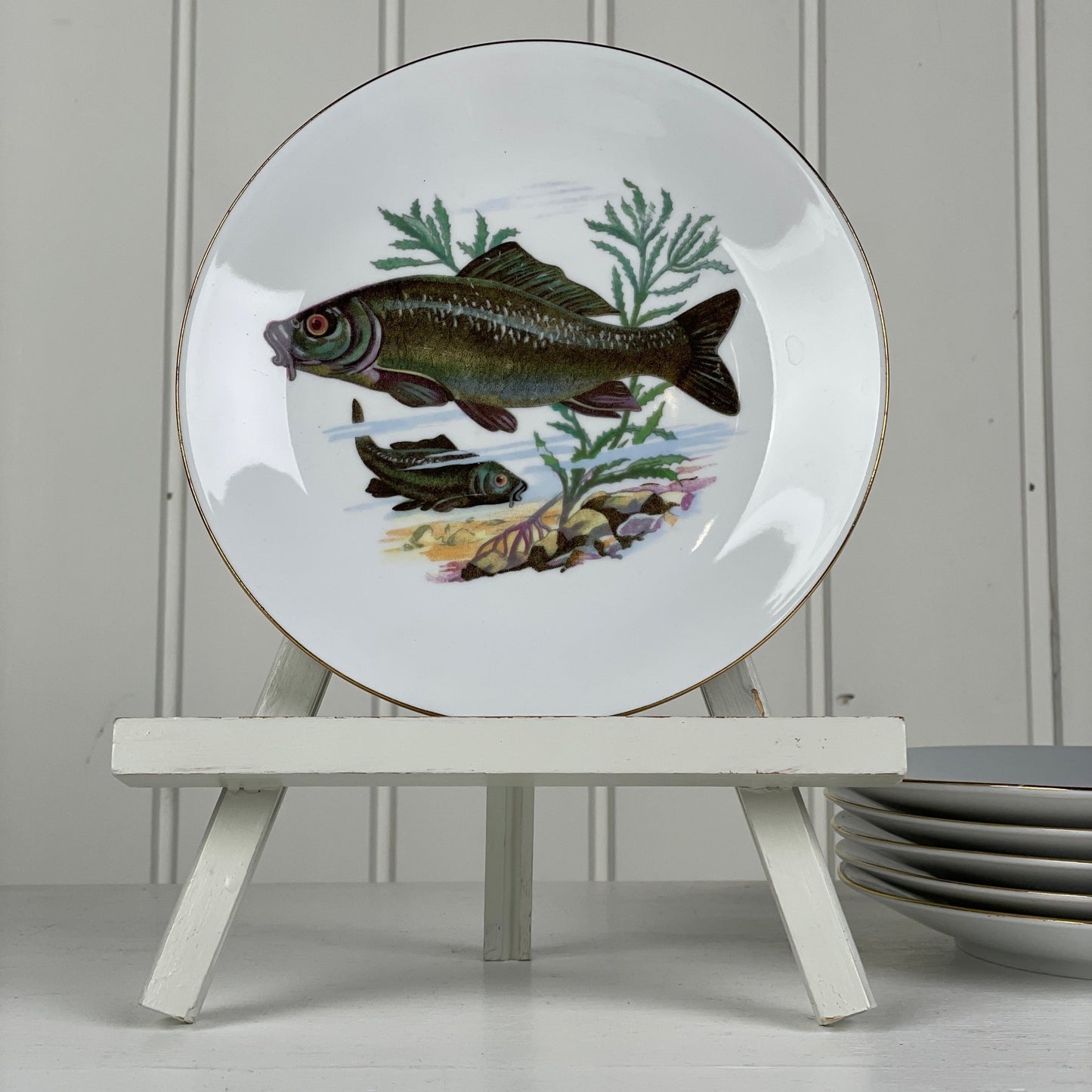 6 stk., Kahla Könitz fisketallerkener - Mission Afrika Genbrug