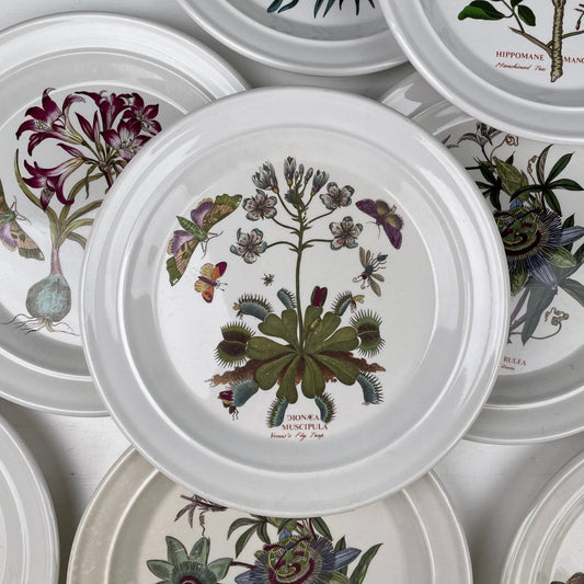 9 stk. Middagstallerkener, Botanic Garden, Portmeirion - Mission Afrika Genbrug