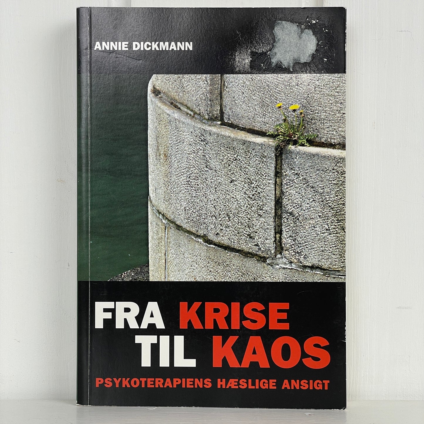 Fra Krise til Kaos