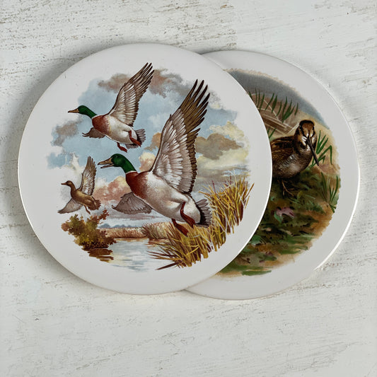Platter (2 stk sælges samlet)