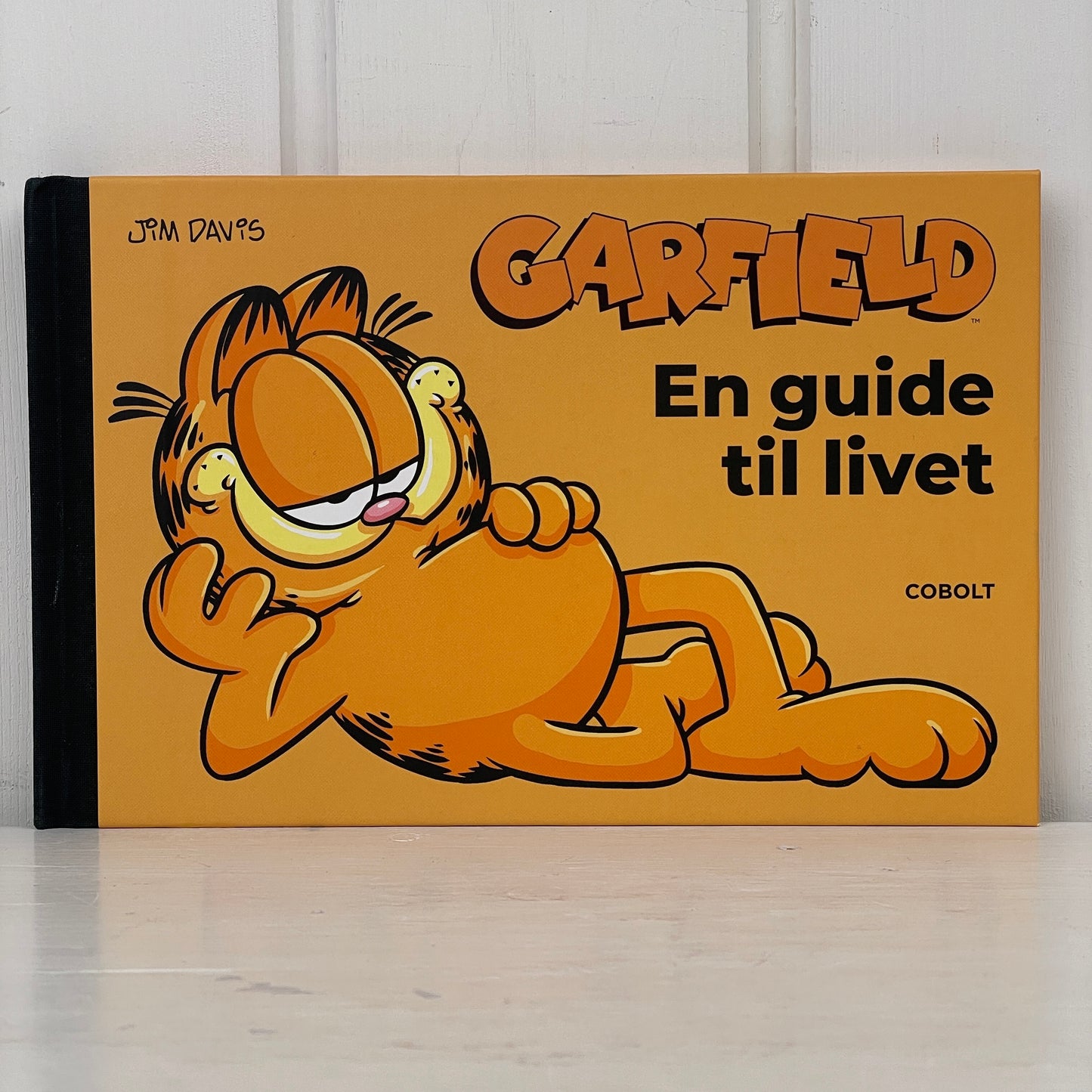 Garfield: En guide til livet