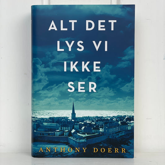 Alt det lys vi ikke ser