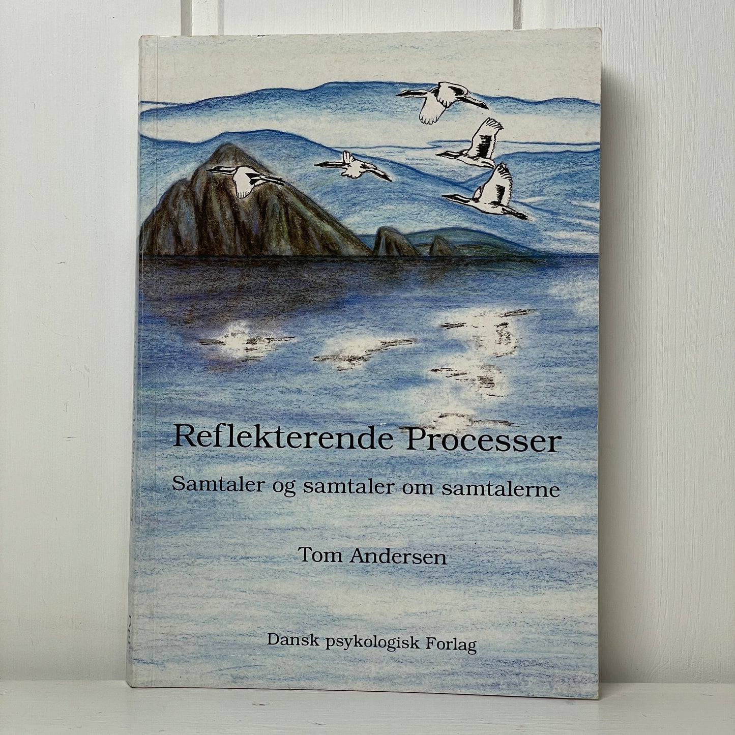 Reflekterende Processer