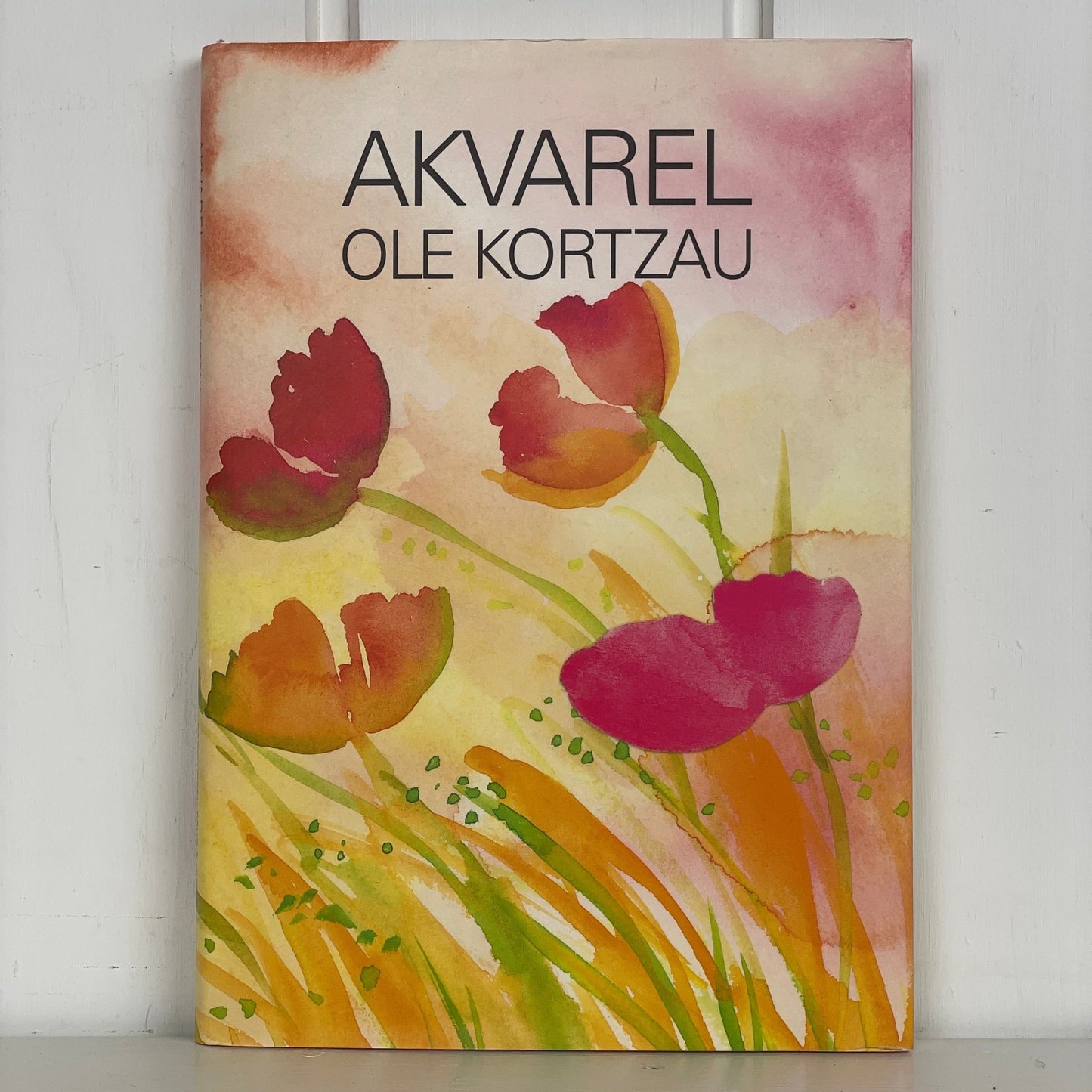 Akvarel - Mission Afrika Genbrug