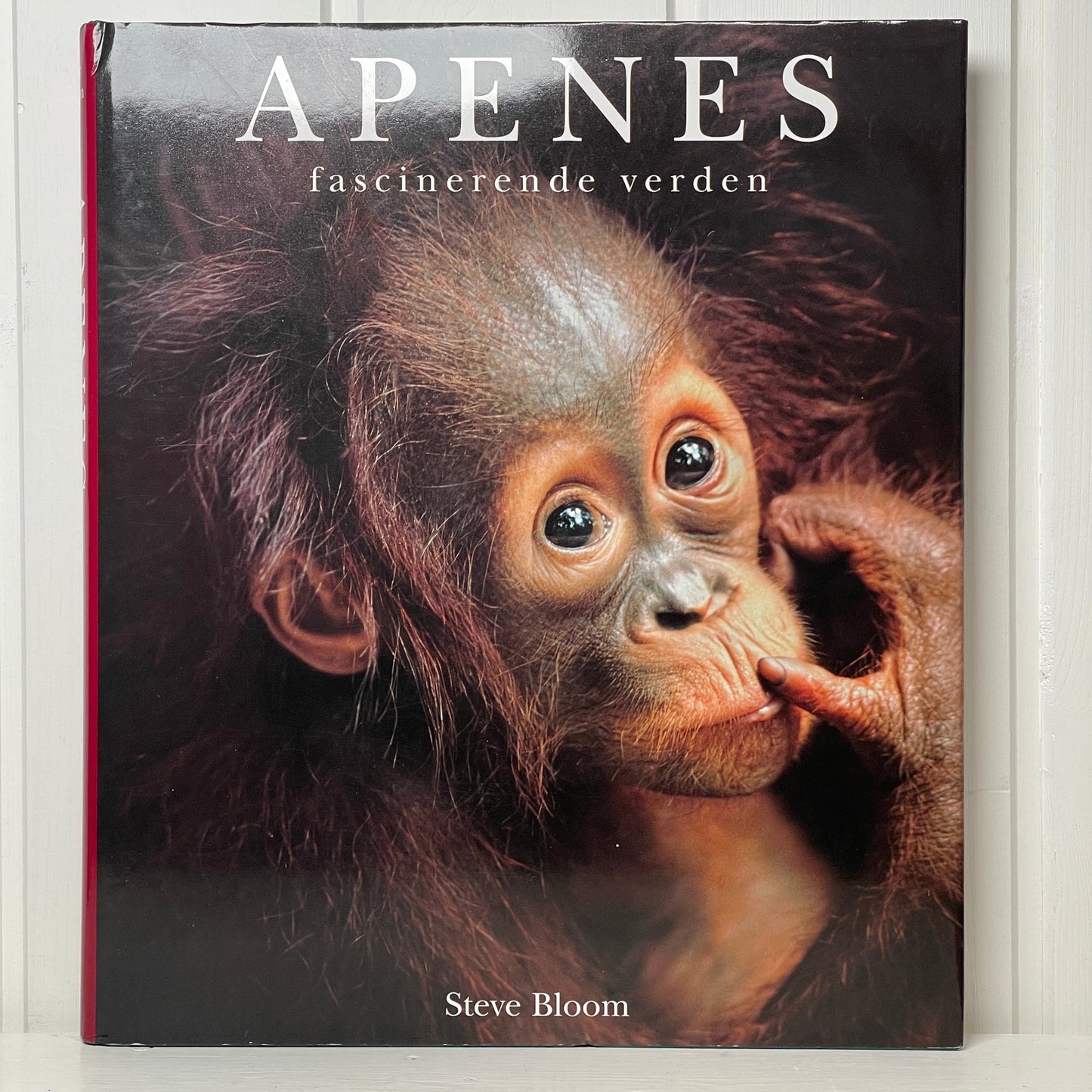 Apenes fascinerende verden - Mission Afrika Genbrug
