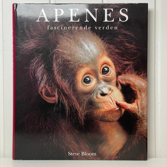 Apenes fascinerende verden - Mission Afrika Genbrug