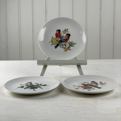 Dekorative tallerkener (3 stk sælges samlet)