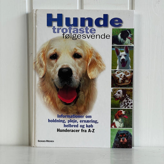 Hunde - trofaste følgesvende - Mission Afrika Genbrug