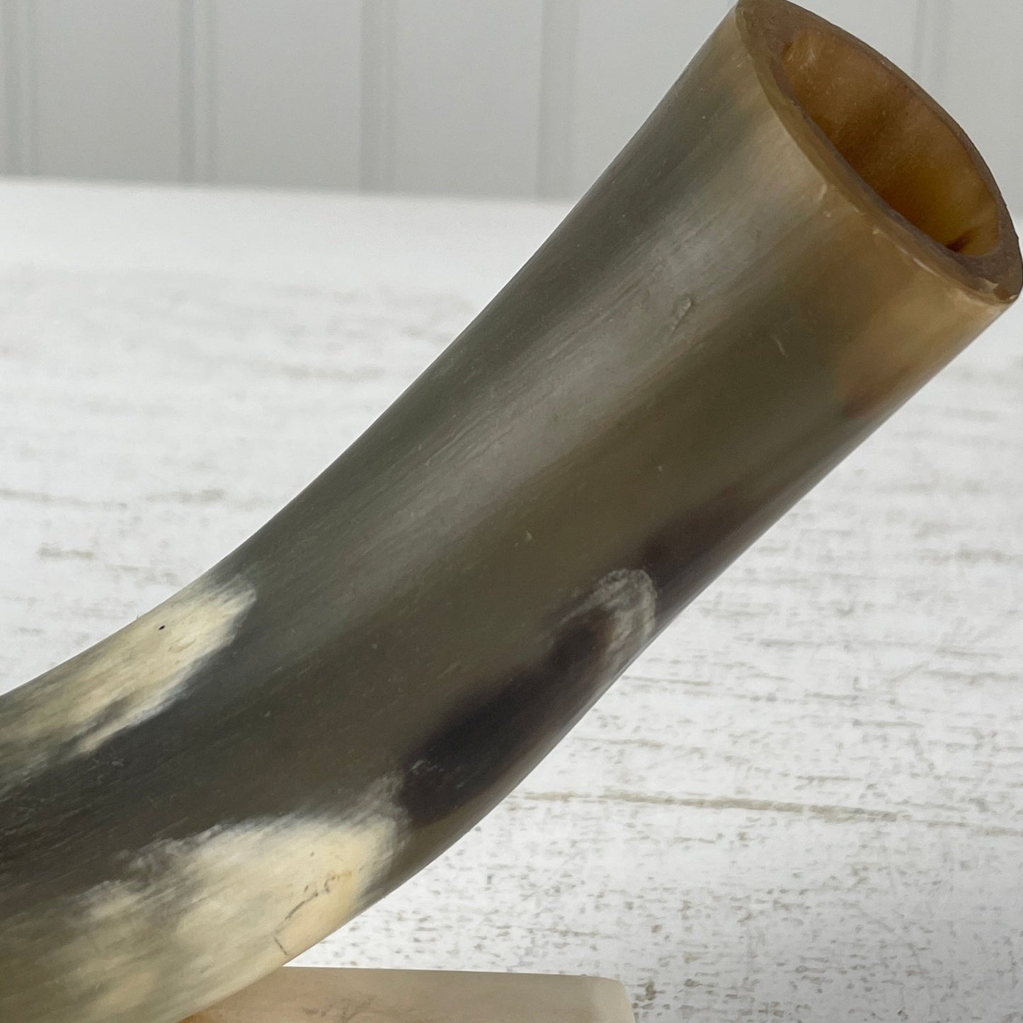 Kohorn på opsats - Mission Afrika Genbrug